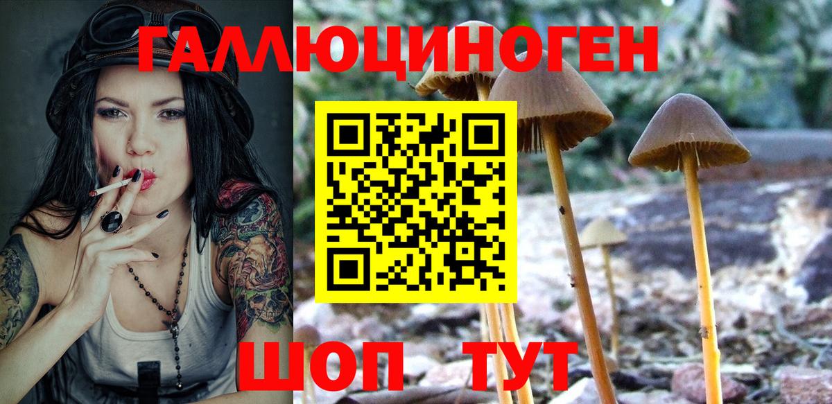 Псилоцибиновые грибы Cubensis Берёзовский