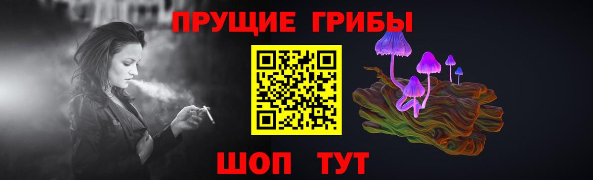 Берёзовский  Галлюциногенные грибы Cubensis  Вход с VPN  Галлюциногенные грибы Cubensis 