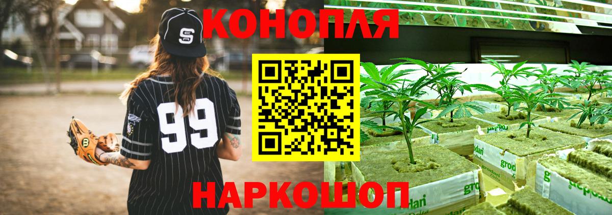 МАРИХУАНА ГИДРОПОН Берёзовский